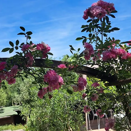 Appartamento Le Temps De Vivre *